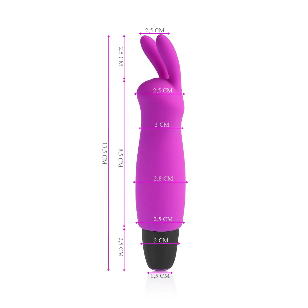 Cápsula Vibratória Recarregável Purple